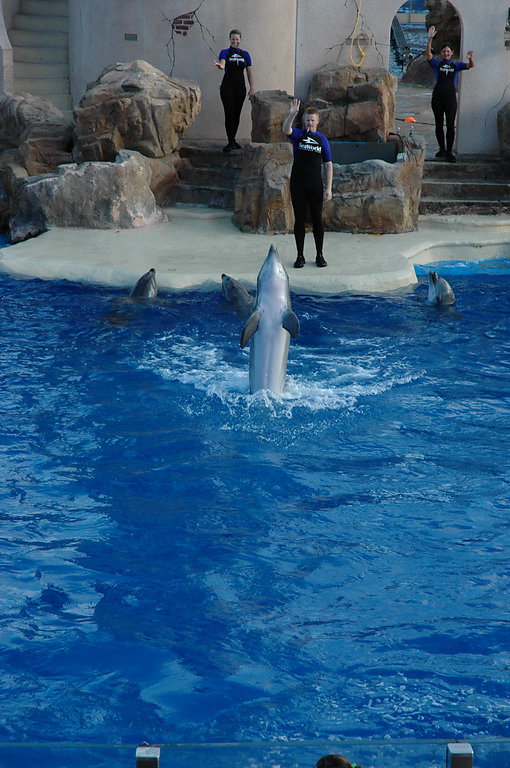 usa-2008-172.jpg