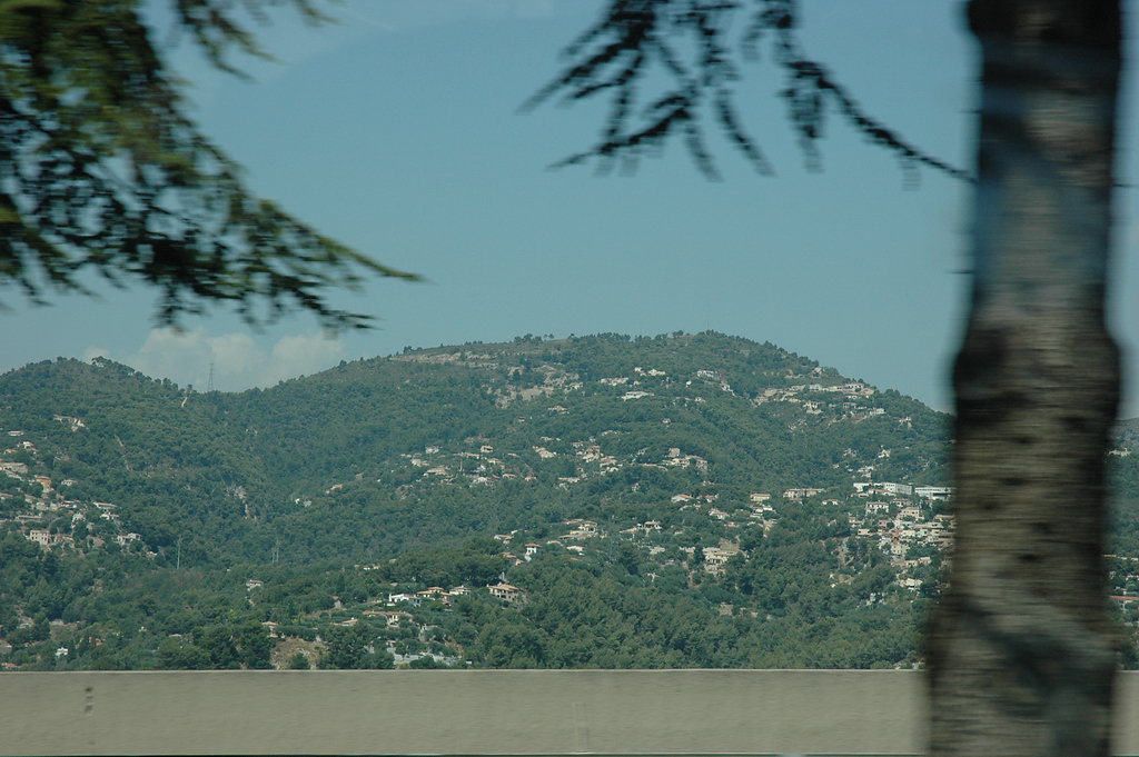 friver-2009-417.jpg