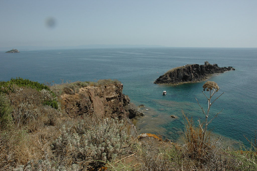 sar-cor-2010-074.jpg